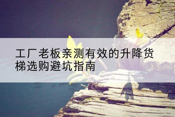 丰顺升降货梯怎么选-工厂老板亲测有效的升降货梯选购避坑指南