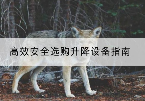 丰顺升降货梯厂家推荐-*安全选购升降设备指南