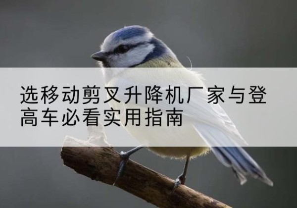 丰顺电动升降机厂家-选移动剪叉升降机厂家与登高车必看实用指南