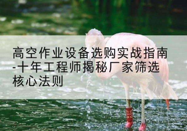 丰顺剪叉式升降机厂家-高空作业设备选购实战指南-十年工程师揭秘厂家筛选核心法则