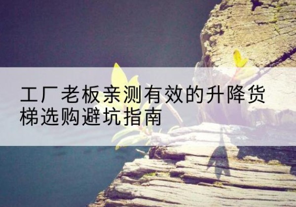 丰顺升降货梯怎么选-工厂老板亲测有效的升降货梯选购避坑指南